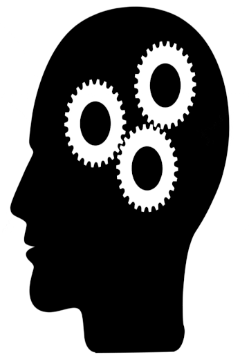 male brain