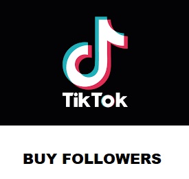 tiktok-followers